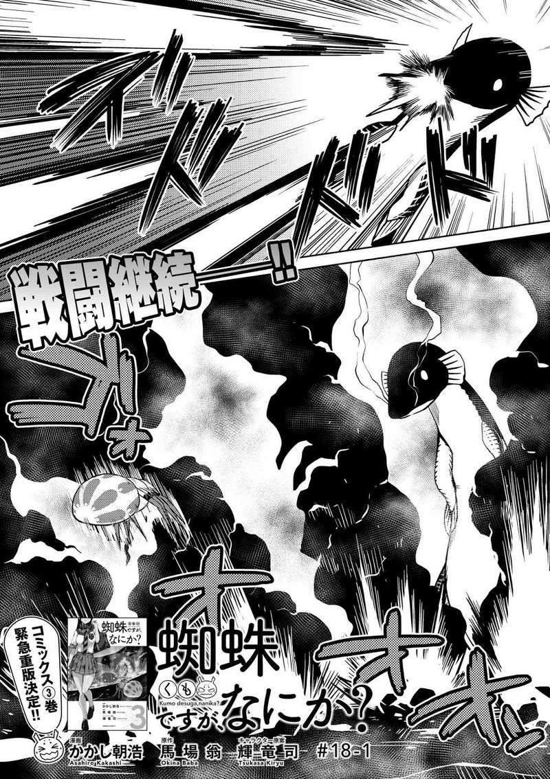 Kumo desu ga, Nani Ka?